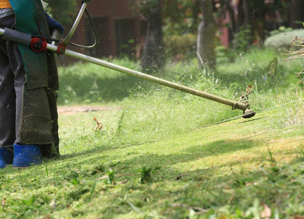 home-garden